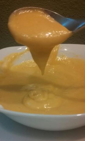 mustard sauce honey dipping recipe copy cat food wendy