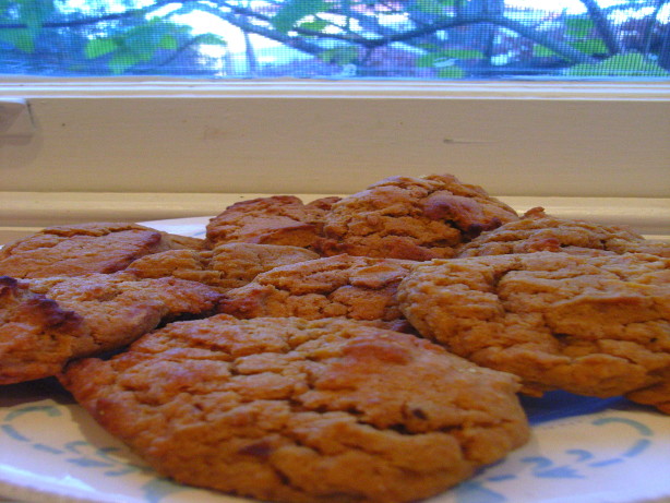 south-african-ginger-cookies-recipe-food