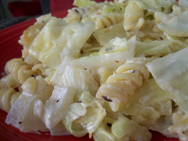 Polish Pasta And Cabbage Recipe
