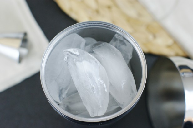 How to Make a Martini - Ice