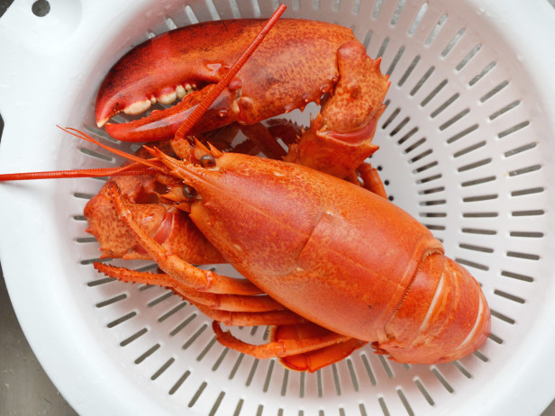 How to Cook Lobster - Cool