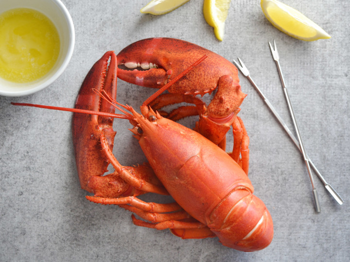 how to cook lobster food com how to cook lobster food com