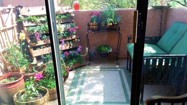 Garden Patio - Garden Designs - Decorating Ideas - HGTV Rate My Space