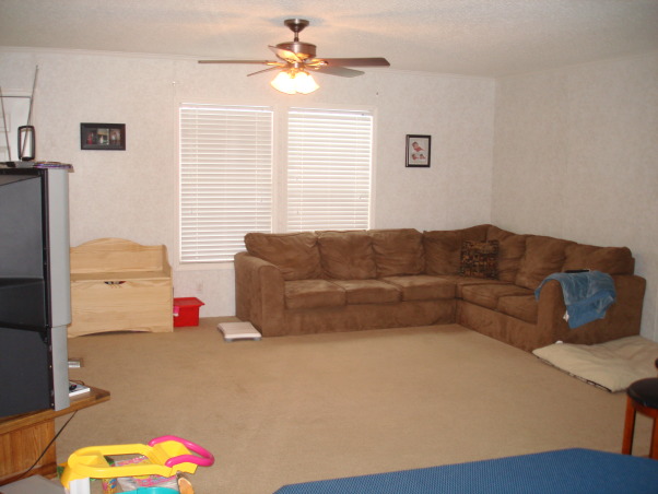 Mobile Home MESS