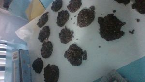 Microwave No Bake Chocolate Oatmeal Cookies Recipe Food Com