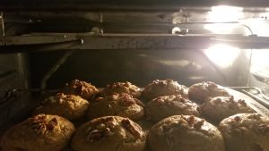 yogurt muffins
