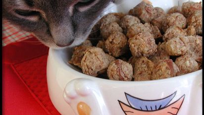 Tabby Tuna Cakes For Kitty Recipe Food Com