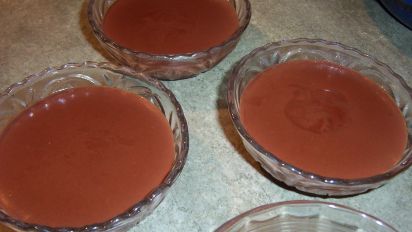 gerber chocolate pudding