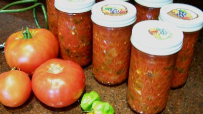 Roasted Poblano And Roasted Garlic Salsa Recipe Food Com