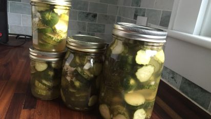Claussen Kosher Pickle Copycat Recipe Food Com
