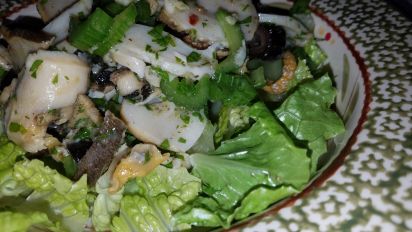 Scungilli Salad Recipe Food Com
