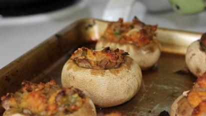 Longhorn Mushroom Appetizer Recipe - All Mushroom Info