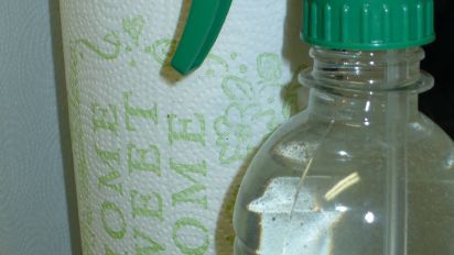 Clorox Anywhere Spray Copycat Recipe Food Com