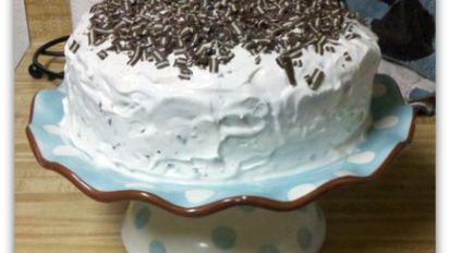 Andes Grasshopper Cake Recipe Food Com