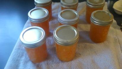Pineapple Habanero Jelly Recipe Food Com What are good uses for this chili? pineapple habanero jelly