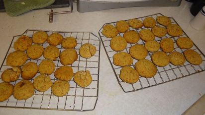 low protein dog treats