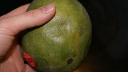 How To Choose And Cut A Mango Recipe Food Com