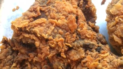 Popeye S Fried Chicken Recipe Food Com,Azalea Bush