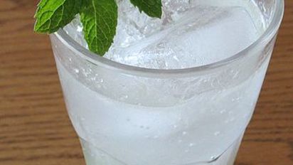 Sloppy Joe S Mojito Alcoholic Beverage Recipe Food Com