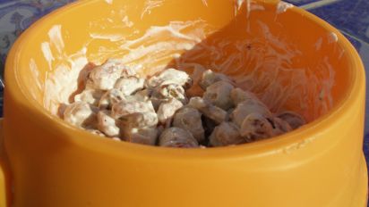 happy dog puppy food