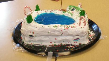 Winter Cake Recipe Food Com