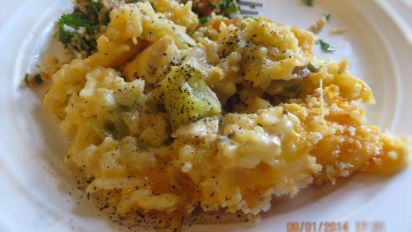 Chicken Broccoli And Rice Casserole Recipe Food Com,What Is An Ionizer For Water