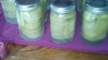 Canned Green Tomatoes Recipe Food Com