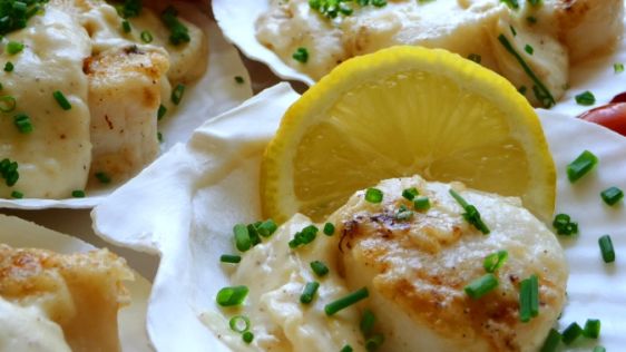 Scallops in Pernod and Cream