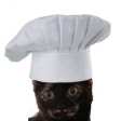 Chef Whiskers