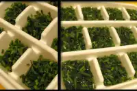 How to Make Frozen Herb Cubes - It's a Veg World After All®