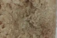 photo by faith4life78