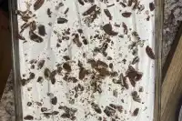 photo by Madison.laflen