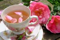 photo by French Tart