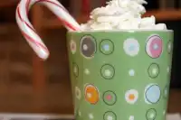 25+ Starbucks Peppermint Mocha Recipe