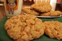 23+ Nestle Oatmeal Scotchies Recipe