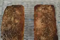 photo by Monica.sanjai