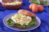 63xOjj3FRtW8xHaELikg Simple Egg Salad 9107 