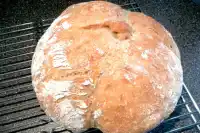 Harry's Whole Grain No Knead Dutch Oven Bread Recipe 