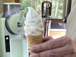 photo of Old Time Vanilla Ice Cream
