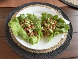 photo of Asian Turkey Lettuce Wraps