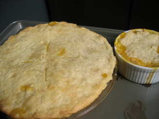 Basic Pie Crust I
