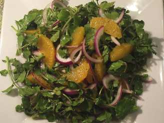 Watercress, Orange and Red Onion Salad