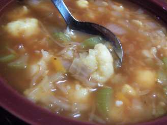 Fat-free Vegetable Soup