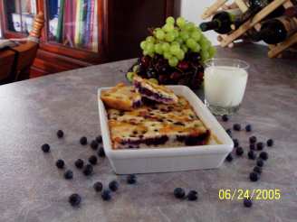Low Fat Sugarless Blueberry Squares