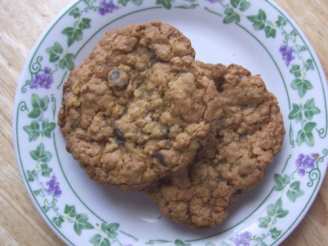 Crispy, Crunchy, Chewy Oat Choco Chip Cookies