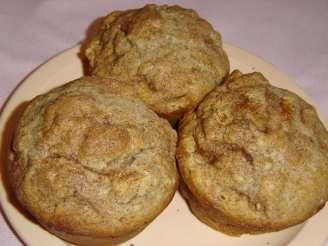 Bisquick Apple Cinnamon Muffins