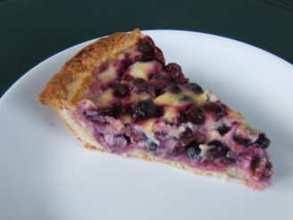 Blueberry Yogurt Pie