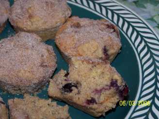 Cinnamon-Sugar Blueberry Muffins