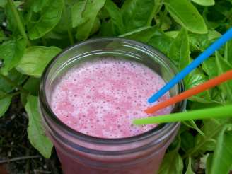 Lacy's Strawberry Protein Smoothie