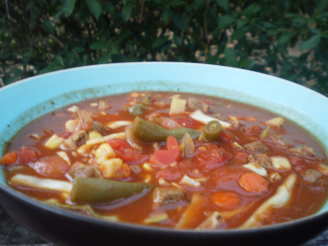 Zesty Beef and Vegetable Soup for the Crock Pot
